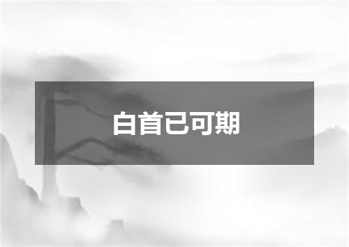 白首已可期