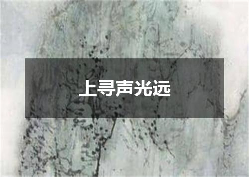 上寻声光远