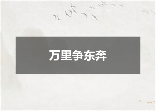 万里争东奔