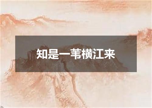 知是一苇横江来