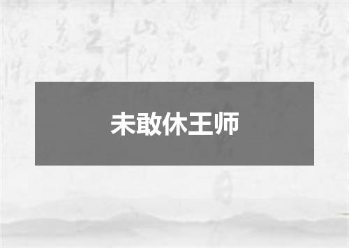 未敢休王师