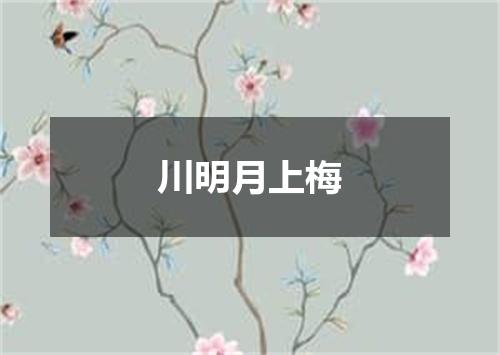 川明月上梅