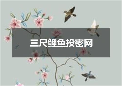 三尺鲤鱼投密网