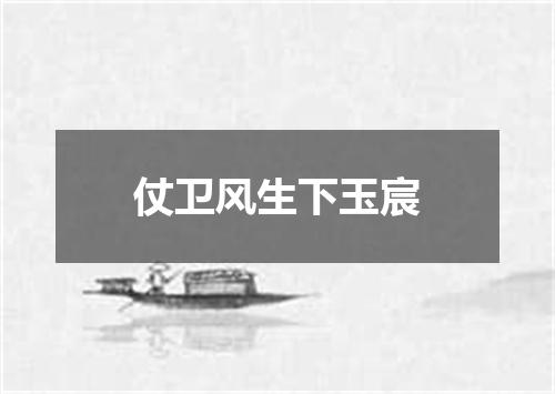 仗卫风生下玉宸