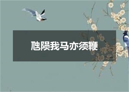 虺陨我马亦须鞭