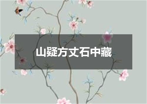 山疑方丈石中藏