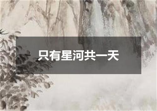 只有星河共一天