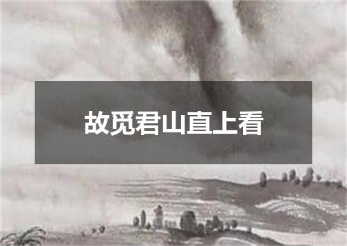 故觅君山直上看