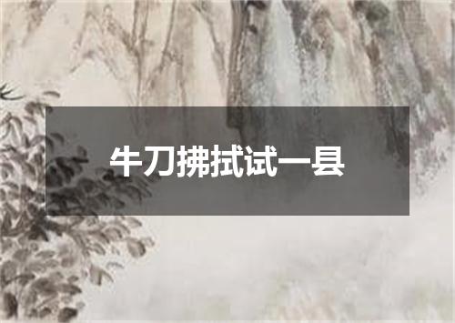 牛刀拂拭试一县