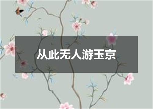从此无人游玉京