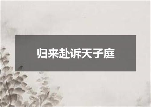 归来赴诉天子庭
