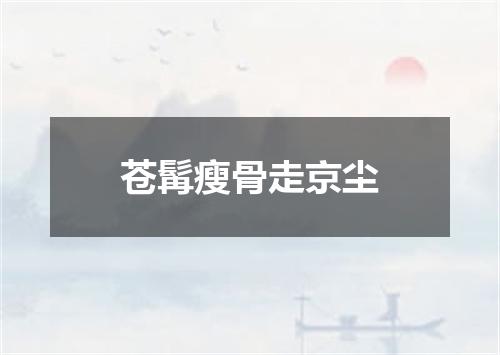 苍髯瘦骨走京尘