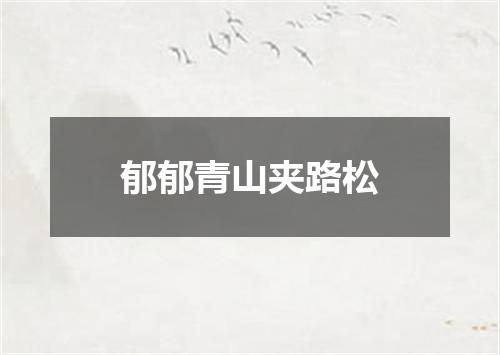 郁郁青山夹路松