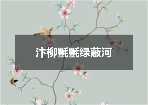 汴柳氎氎绿蔽河