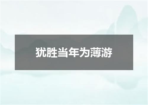 犹胜当年为薄游
