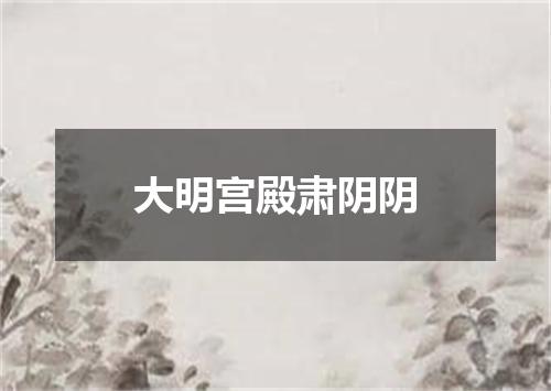 大明宫殿肃阴阴