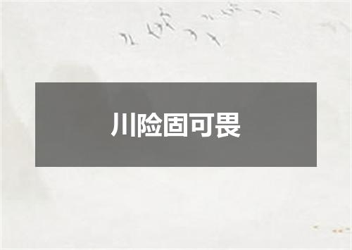 川险固可畏