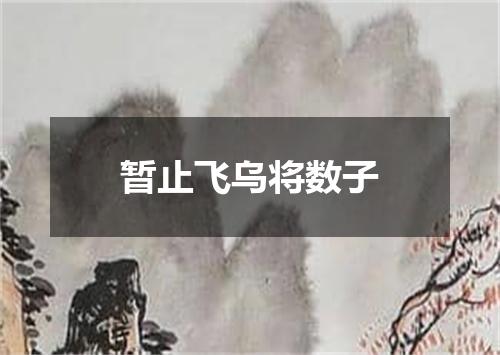 暂止飞乌将数子