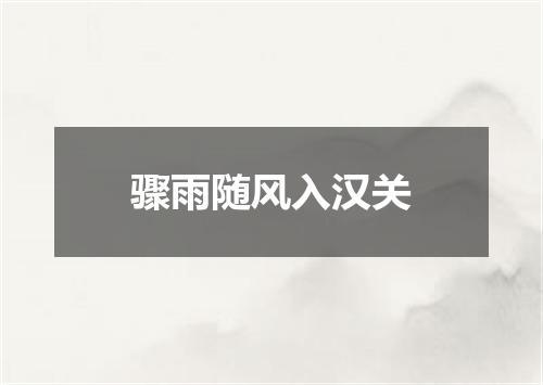 骤雨随风入汉关