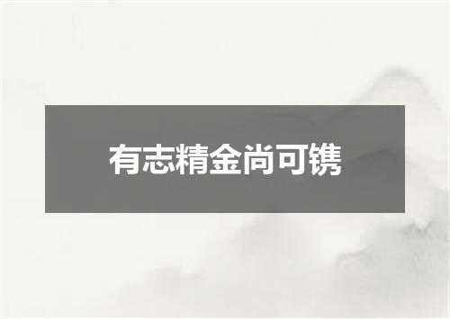有志精金尚可镌