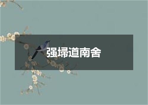 强埽道南舍