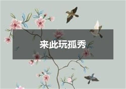 来此玩孤秀