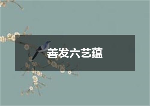 善发六艺蕴