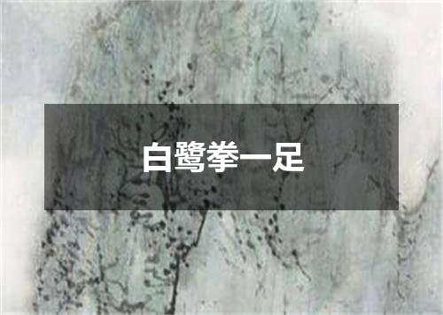 白鹭拳一足