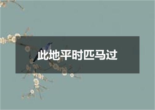 此地平时匹马过