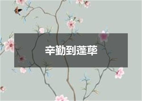 辛勤到蓬荜
