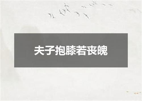 夫子抱膝若丧魄