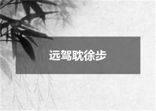 远驾耽徐步