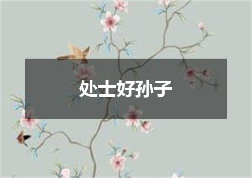 处士好孙子