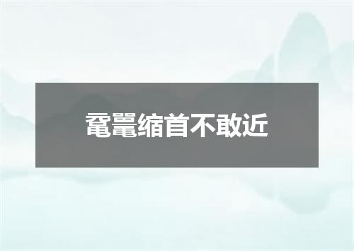 鼋鼍缩首不敢近