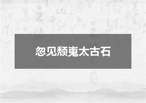 忽见颓嵬太古石