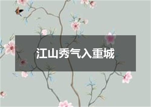 江山秀气入重城