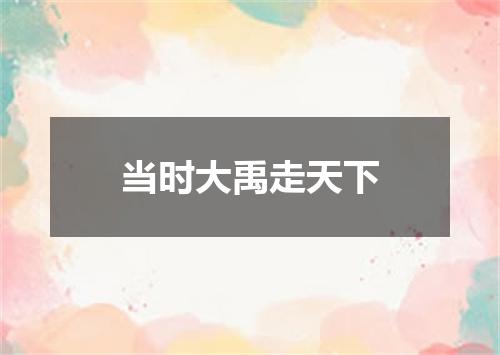 当时大禹走天下