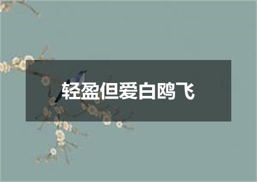 轻盈但爱白鸥飞