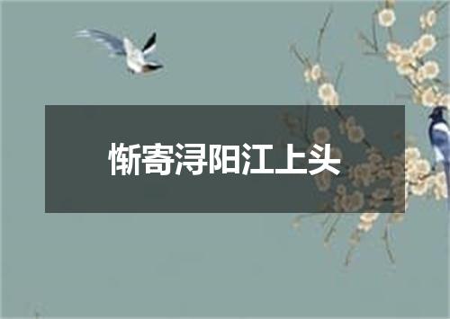 惭寄浔阳江上头