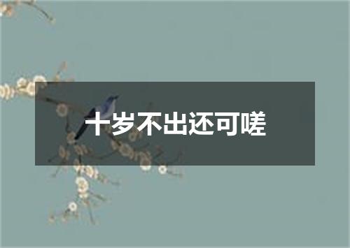 十岁不出还可嗟