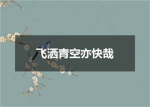 飞洒青空亦快哉