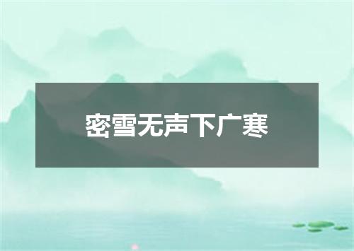 密雪无声下广寒