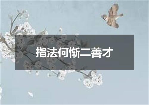 指法何惭二善才