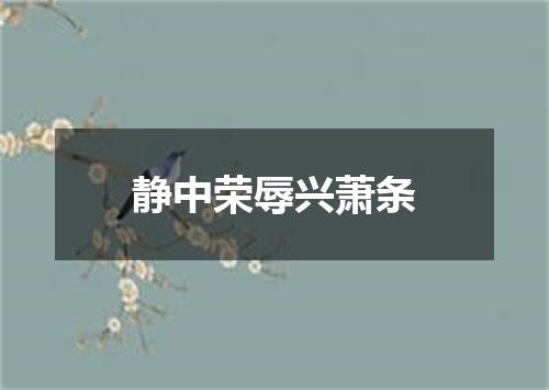静中荣辱兴萧条