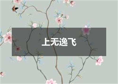 上无逸飞
