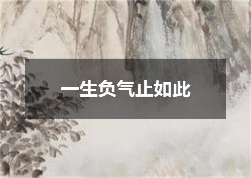 一生负气止如此