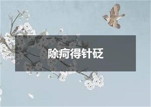 除疴得针砭