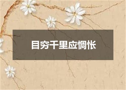 目穷千里应惆怅