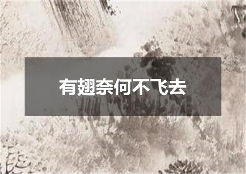 有翅奈何不飞去