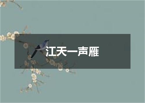 江天一声雁